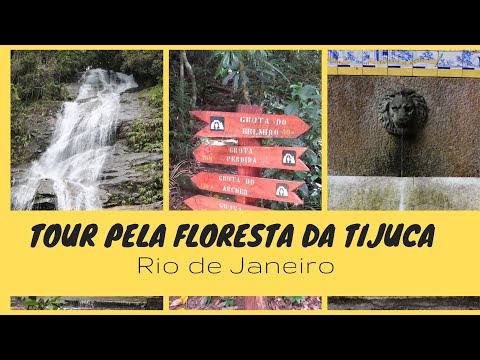 Tour through the Tijuca Forest in Rio de Janeiro