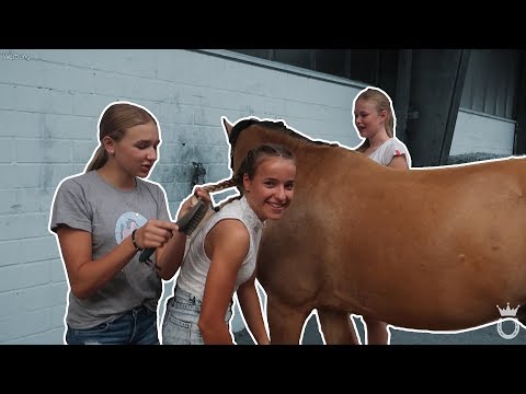 OSTWIND Mädelsnachmittag Teil 3 🐎 | mit Lia und Eske 😍 | Marina und die Ponys