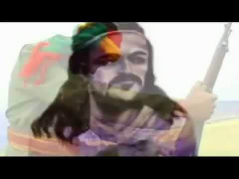 ፋሲል ደሞዝ አንድ ለናቱ