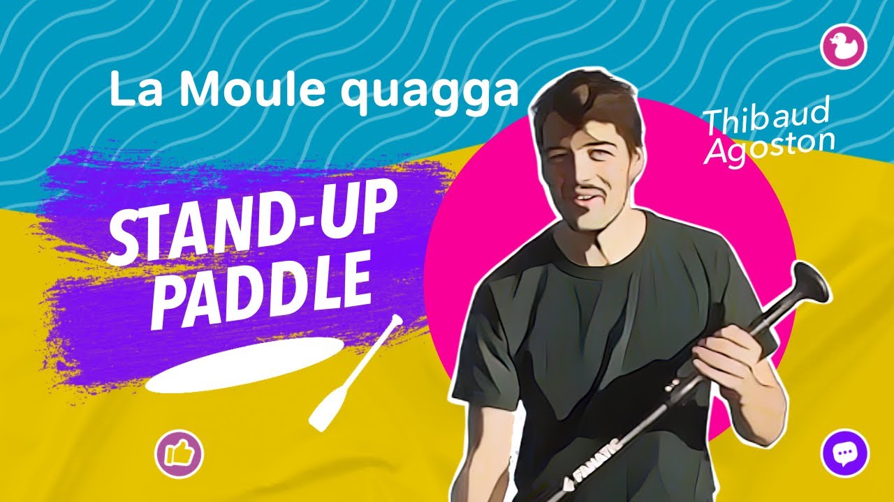 LA MOULE QUAGGA