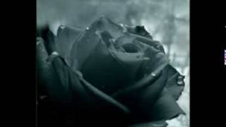 La rosa y el sauce (Guastavino) - by Soprano Victoria Roldán.mpg