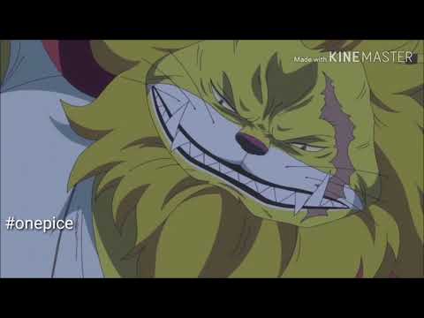 Jack Vs cat viper  Duke Dogstorm