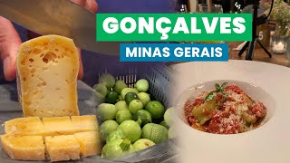 Os ORGÂNICOS da SERRA DA MANTIQUEIRA - Gonçalves | EP. 2 | GIRO BRASIL