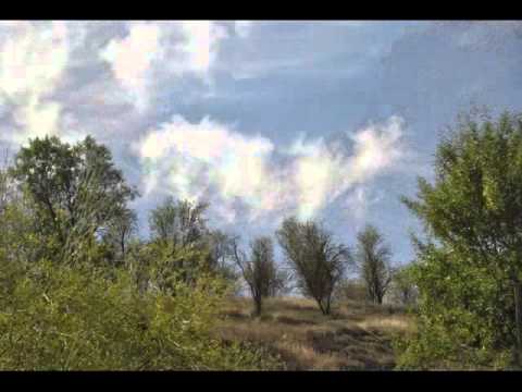 Via verde del Tajuña