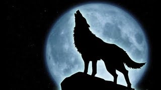 Howlin' Wolf - Moanin' in the moonlight