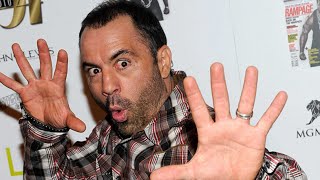 How Meat Made Our Brains Bigger & Why Vegans Have Low IQ Actually