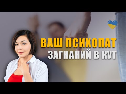 12 фраз до манiпулятора якi поставлять його у кут. Токсичні стосунки з аб'юзером