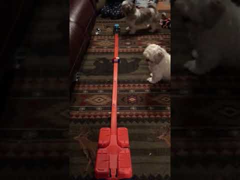 User submitted video