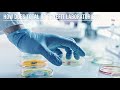What Is GFP And AFD S Total QC Line Of Assays