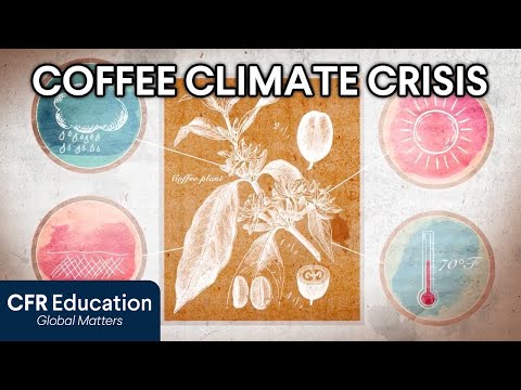 How Climate Change Is Threatening the Coffee Industry