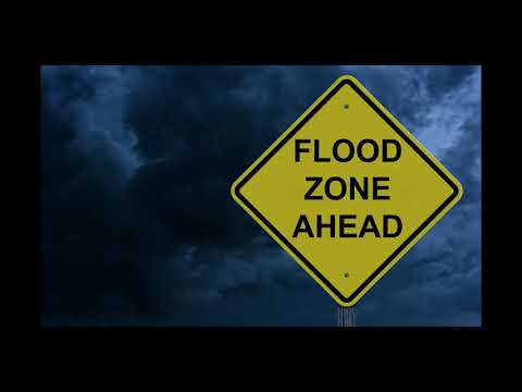 Zaddy P Love - Jungle