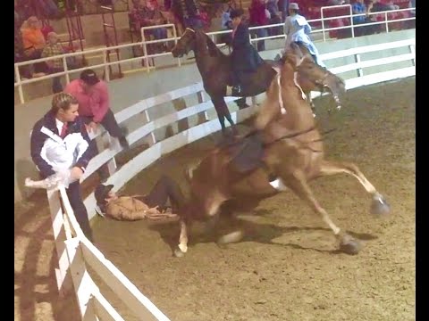 , title : 'What Caused This "Big Lick" Tennessee Walking Horse To Throw His Rider Asheville, NC???'