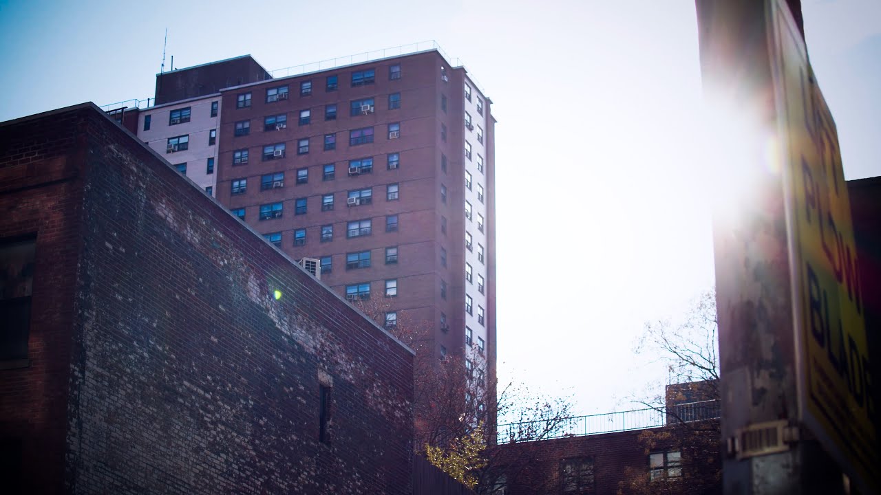 Gregg Caruso | Free Will Touches Every Aspect Of Our Daily Lives | Free Will? A Documentary