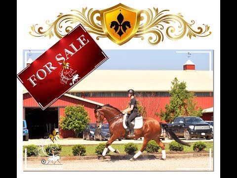 GP RASCALLI &   Mario A Contreras