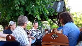 Fox Tower Bluegrass Band - Smoke on the water (Bluegrass Version)