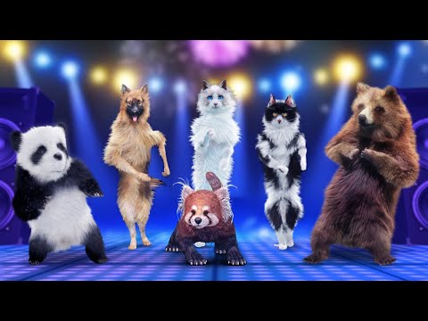 Animal Song (Dance Party) | With Panda, Dog, Cats, and a Bear 2024 | By Twiddlie