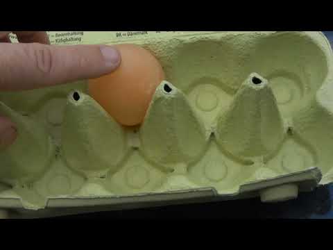 Ei ei ei, ein Windei