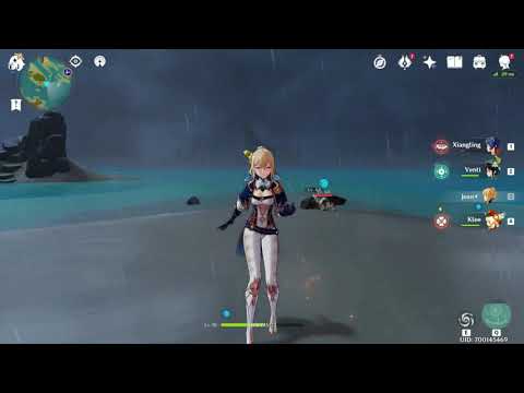 Video preview