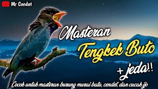 Download lagu MASTERAN TEMBAKAN TENGKEK BUTO SPEED RAPET JEDA..!!! mp3 Download lagu MASTERAN TEMBAKAN TENGKEK BUTO SPEED RAPET JEDA..!!! mp3