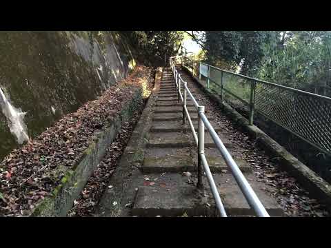 【完成版】柳生街道笠置観光協会版中国語版