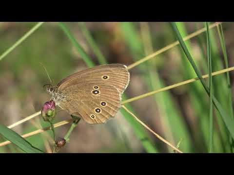 In the territory of the Municipality of Rubiana  - Turin (Italy)  - The hamlet of Mompellato.