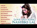 Naseebo Lal Sad Song Punjabi Audio Jukebox