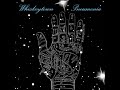 Whiskeytown - Bar Lights (Pneumonia T14) Ryan Adams