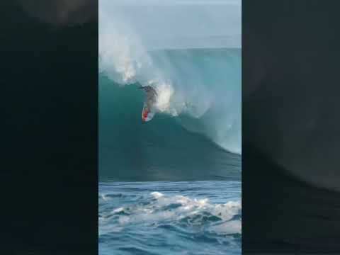 Courtney Conlogue North Shore #hawaii #surfergirl 🌺