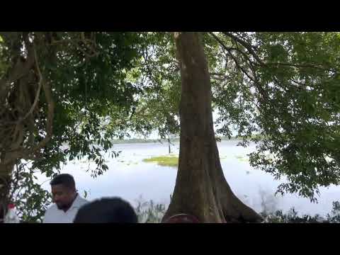 Oba asure ma hadee 🎶 (@mervinmihindukula6459  fav song @shehanshakila286 )