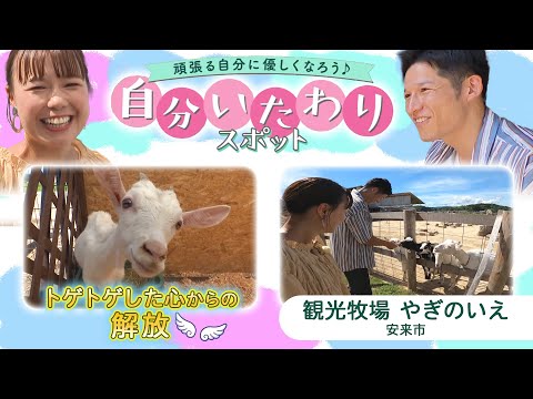 ヤギ岩について詳しく解説