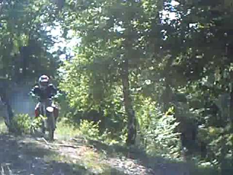 Rapa Soimului by State