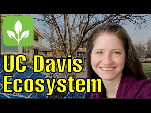 CleanStart Perspectives: UC Davis Venture Catalyst - YouTube