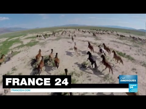 download lagu mp3 mp4 Cheval Americain, download lagu Cheval Americain gratis, unduh video klip Cheval Americain