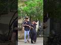 Thamara Poovukum Viral Shortsvideo Youtubeshorts Shortsfeed Trending Siblings Dance Fun