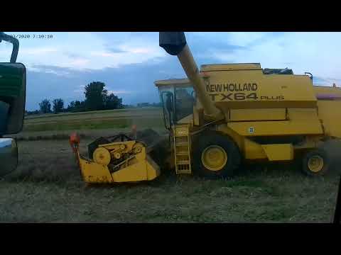 Podsumowanie Sezonu 2021