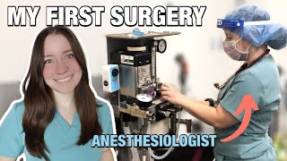 MY FIRST SURGERY IN VET SCHOOL: monitoring anesthesia as a vet student 🐾