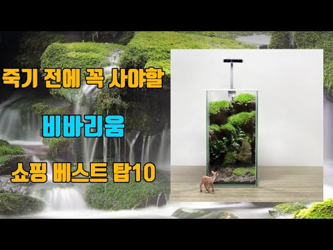 비바리움 탑10 인기순위, 판매가격, 리뷰, 후기 추천