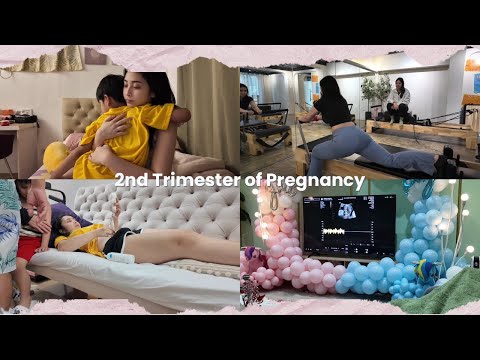 2nd Trimester of Pregnancy || Bea Borres