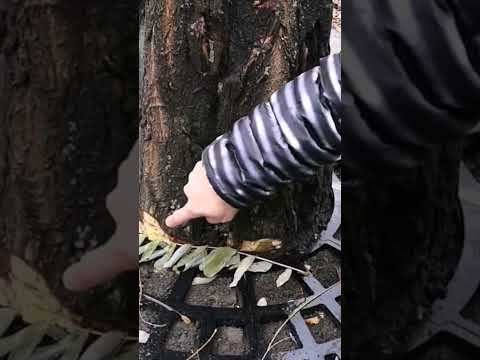 Я предупреждал о последствиях. 09. 11. 2021г.#shorts