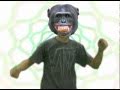 Monkey Chronicles: Single Ladies