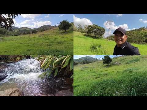 Vende-se terreno com dois hectares na zona rural de Altinho-PE. ( 81) 99356 4122 ou 9908 0264!