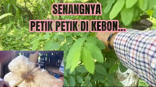 BAHAGIANYA NGEBON, NEMU 🍄‍🟫 SATU SAJA  SERASA SE KERANJANG