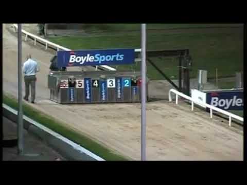 BOYLESPORTS Irish GREYHOUND DERBY 2020
