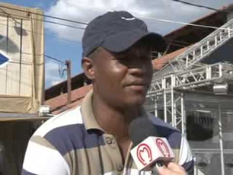 Mangalarga Marchador - programa 203