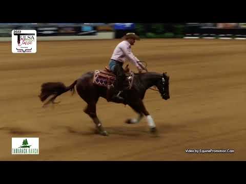 Hot Hollywood Gem 2022 Tulsa Reining Classic