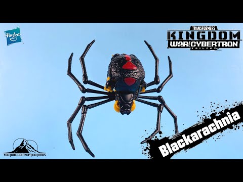 Transformers War for Cybertron Kingdom Deluxe Class BLACKARACHNIA Video Review