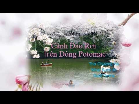 Xem video trên YouTube