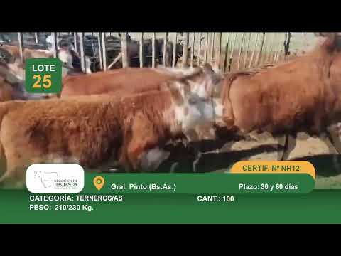 Lote M Y H - Gral Pinto Bs As