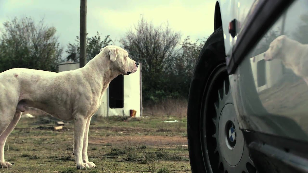 Miniature de la vidéo Bande-Annonce "La BM du Seigneur" de Jean-Charles Hue du film La BM du Seigneur