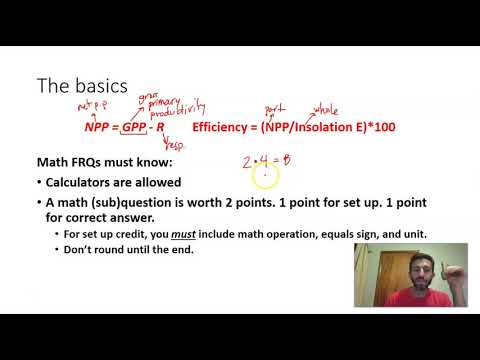 Energy/Trophic Calculation Notes - Part 1